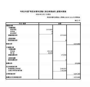 貸借対照表の公告