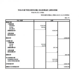 貸借対照表の公告